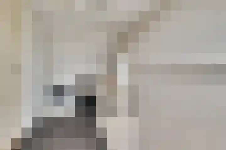 Jan Steenhof 5 Nijkerk thumbnail 27