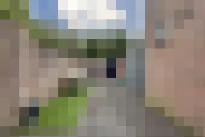 Jan Steenhof 5 Nijkerk thumbnail 31