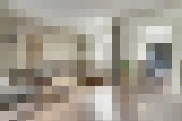 Jan Steenhof 5 Nijkerk thumbnail 5