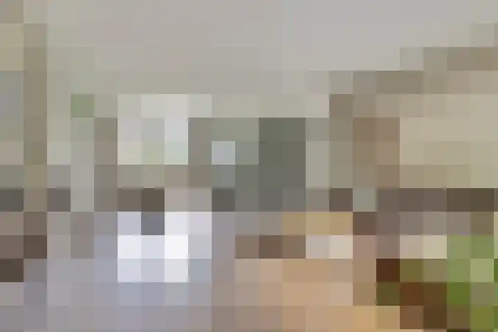 Jan Steenhof 5 Nijkerk thumbnail 6