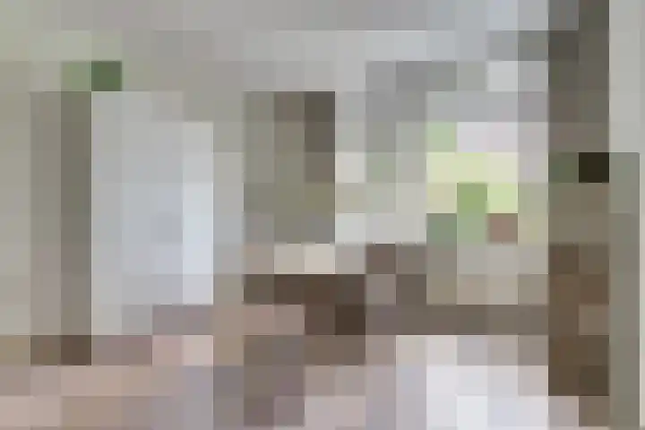 Jan Steenhof 5 Nijkerk thumbnail 9