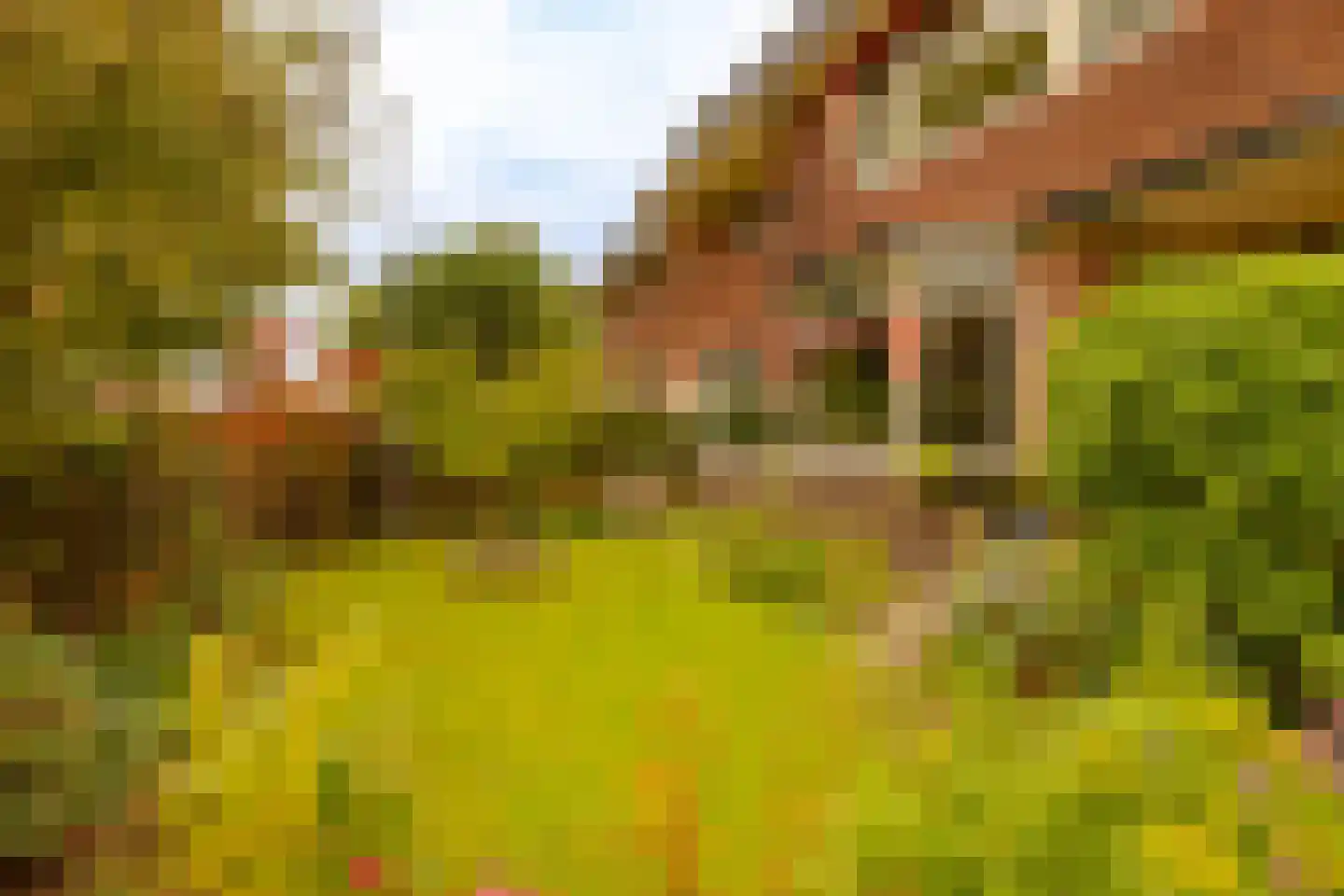 Jan Steenlaan 1 Heemstede thumbnail 19
