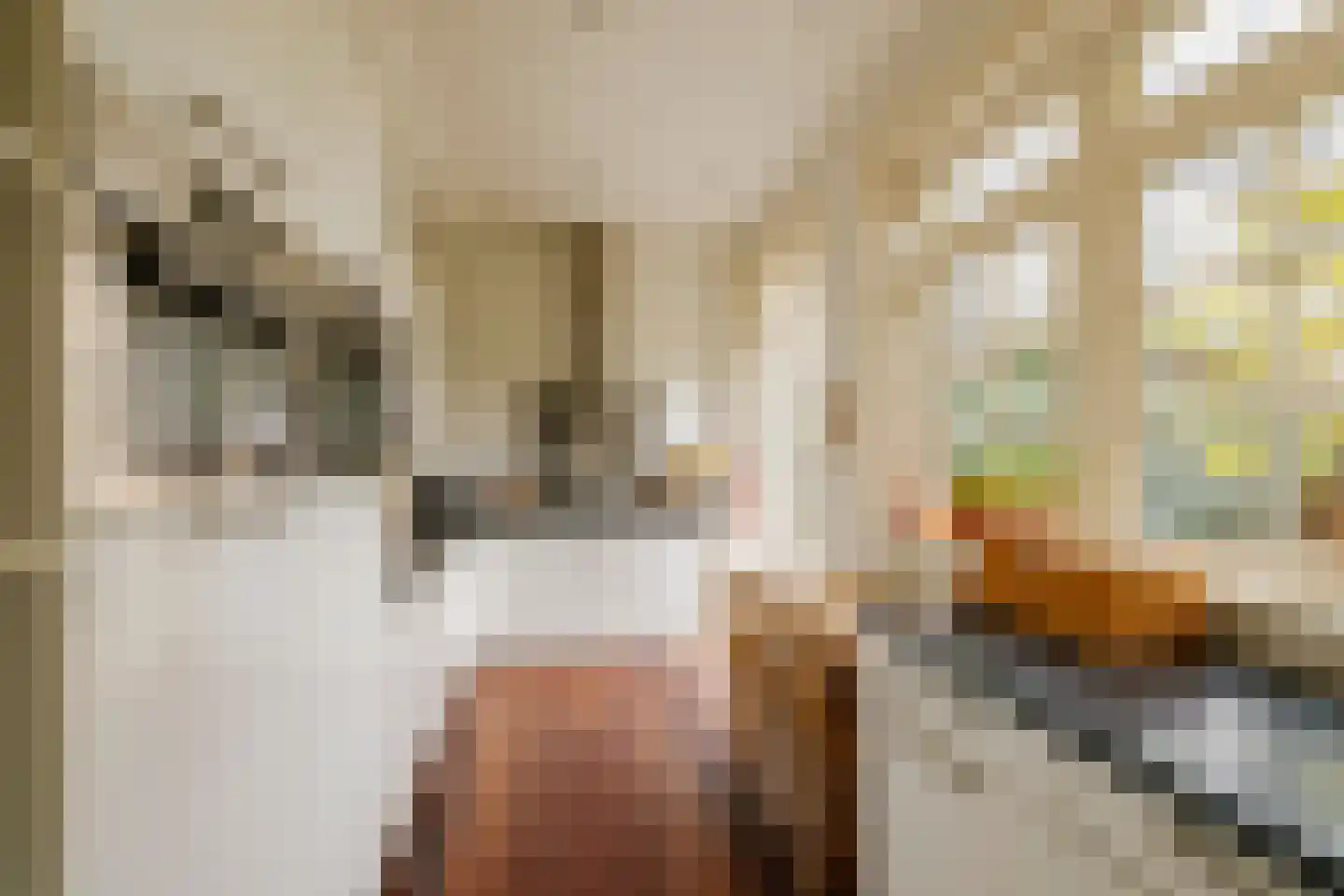 Jan Steenlaan 1 Heemstede thumbnail 22