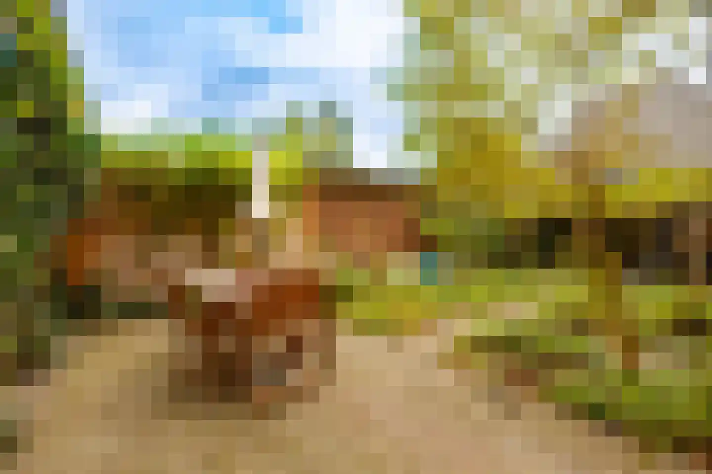 Jan Steenlaan 1 Heemstede thumbnail 25