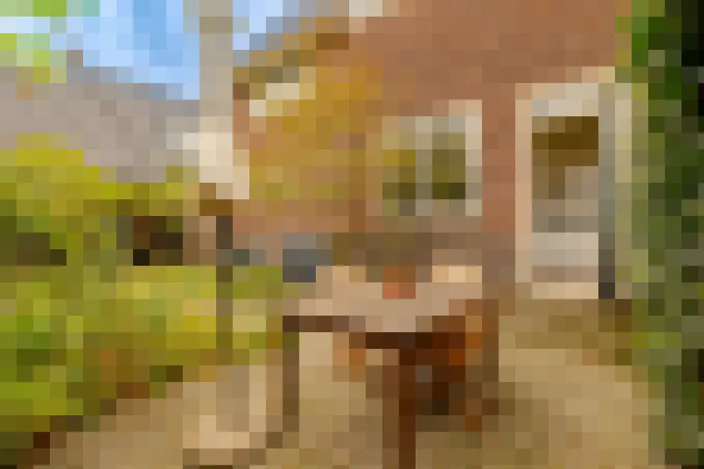 Jan Steenlaan 1 Heemstede thumbnail 26