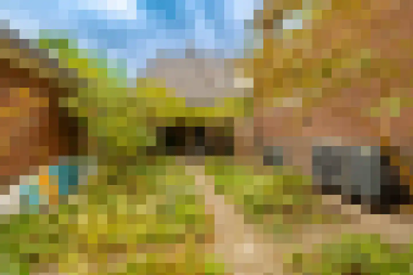 Jan Steenlaan 1 Heemstede thumbnail 27
