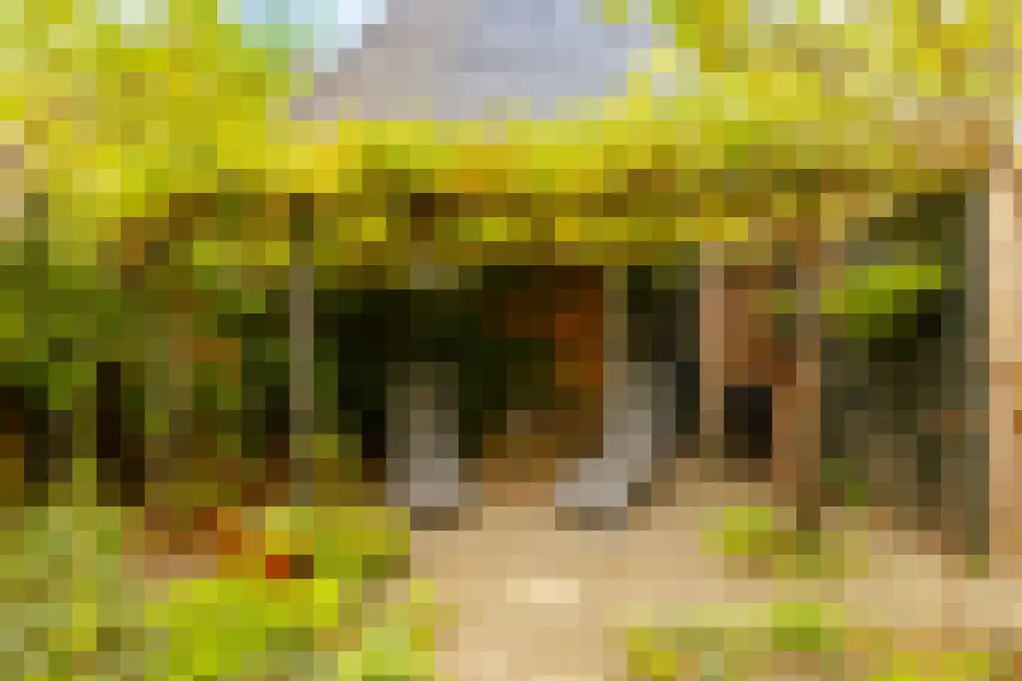 Jan Steenlaan 1 Heemstede thumbnail 28