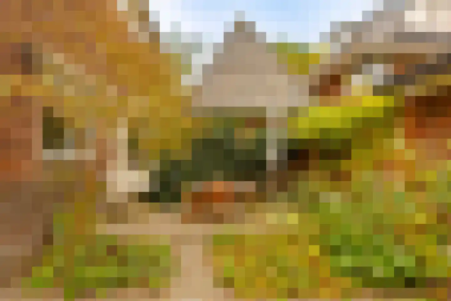 Jan Steenlaan 1 Heemstede thumbnail 30
