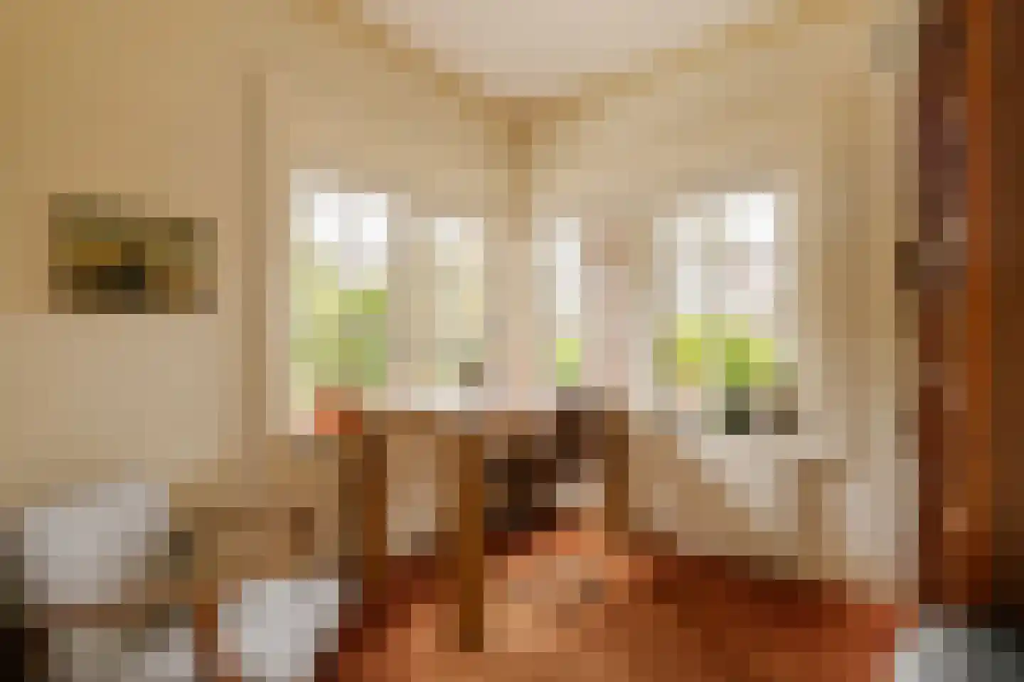 Jan Steenlaan 1 Heemstede thumbnail 31