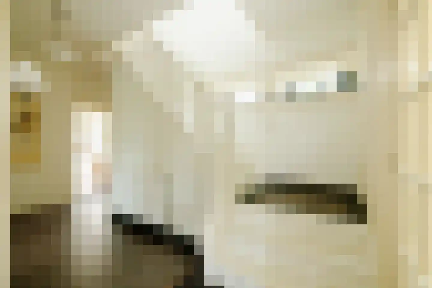 Jan Steenlaan 1 Heemstede thumbnail 34