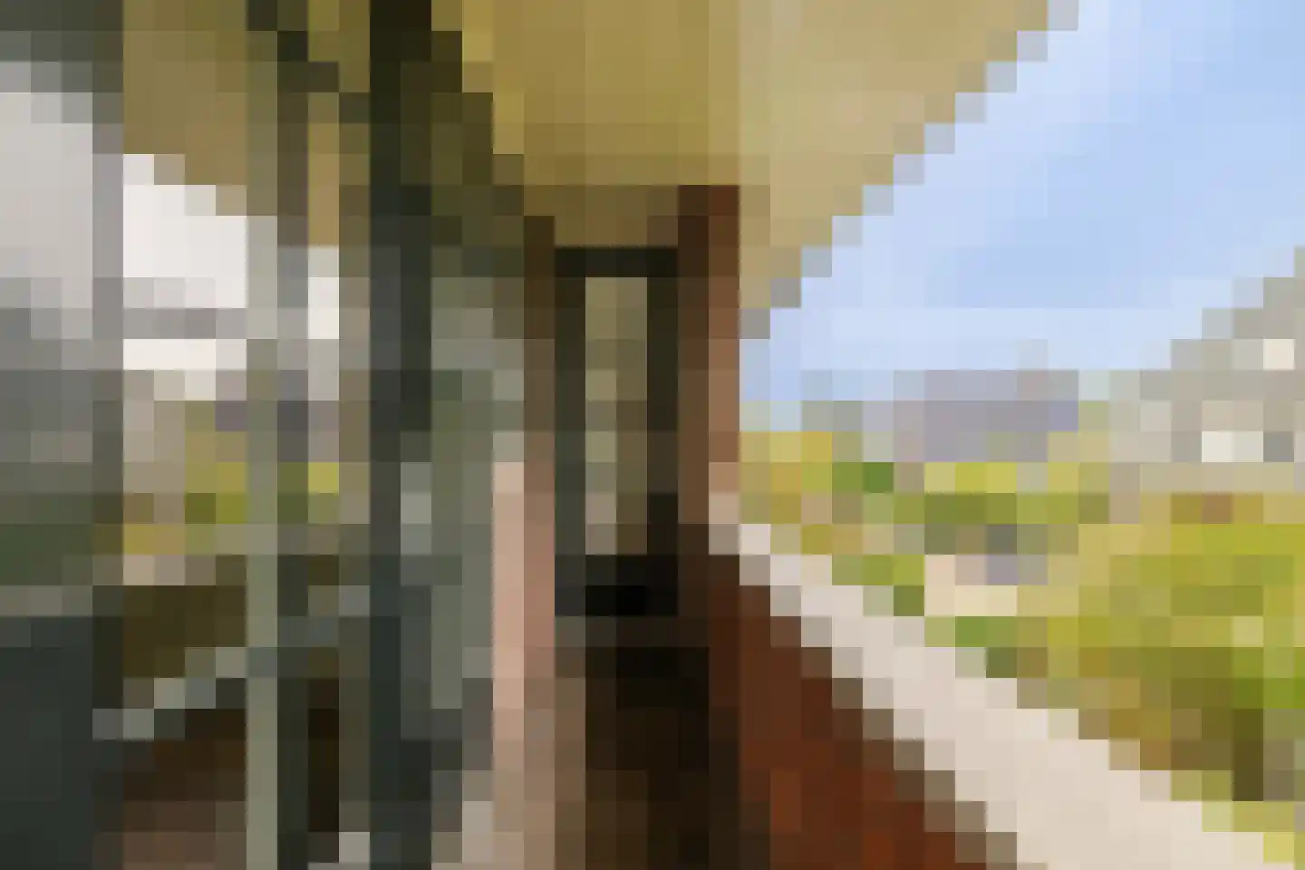 Jan Steenlaan 1 Heemstede thumbnail 40
