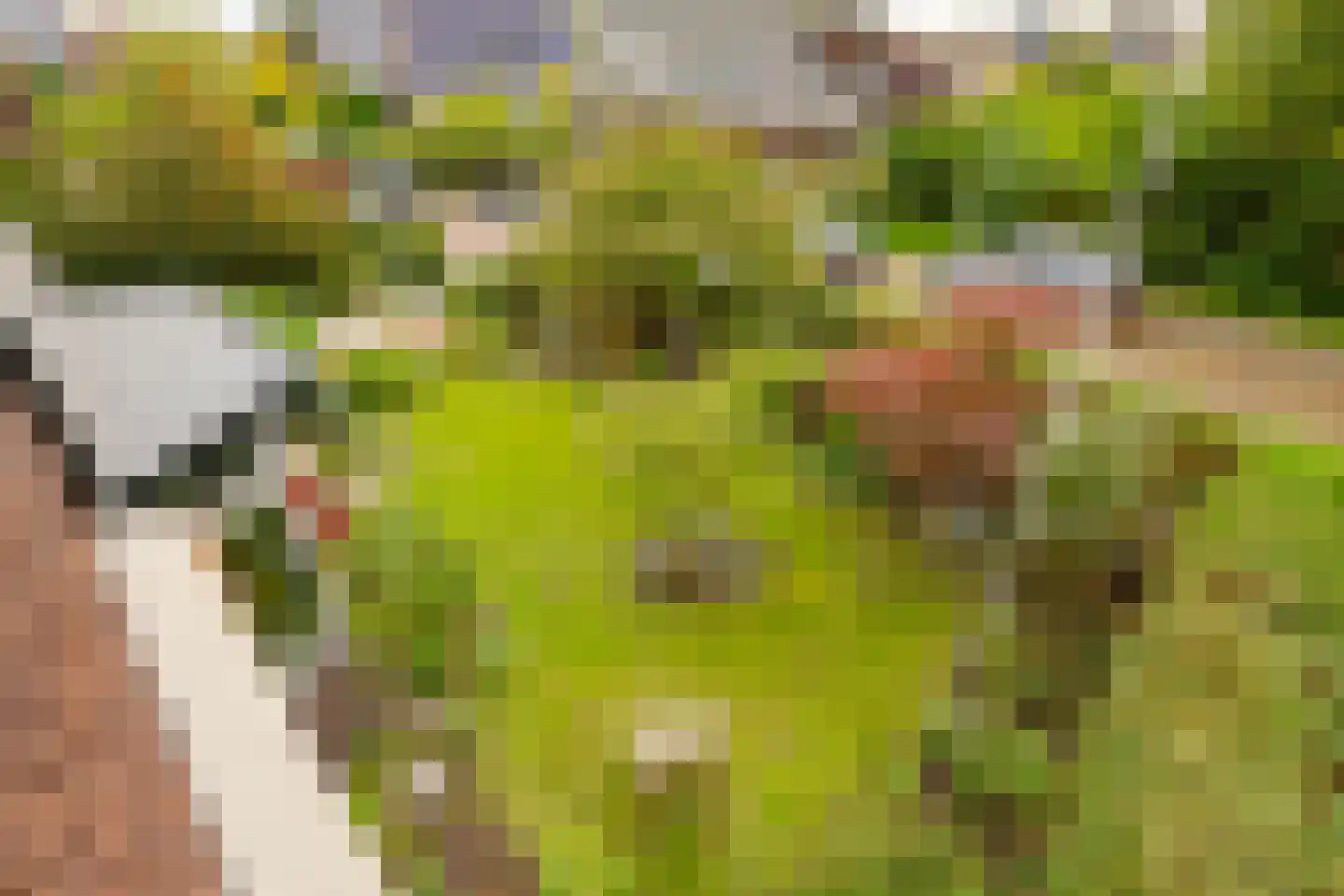 Jan Steenlaan 1 Heemstede thumbnail 41