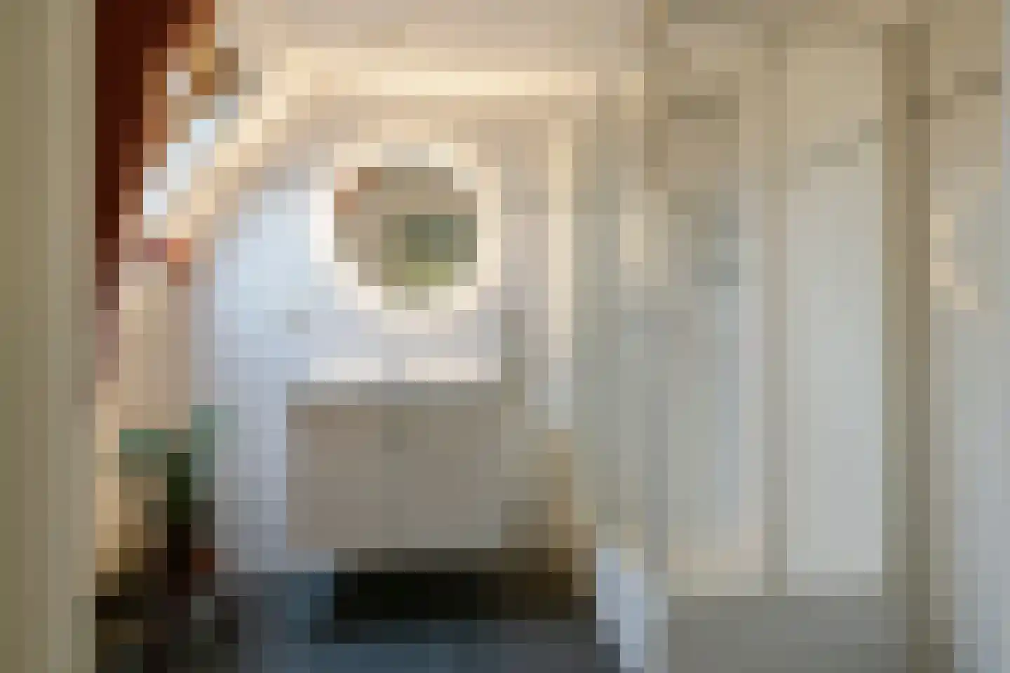 Jan Steenlaan 1 Heemstede thumbnail 56