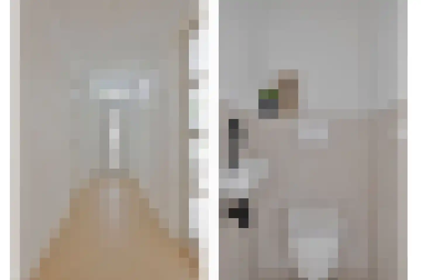 Jan Steenlaan 1 Zoetermeer thumbnail 10