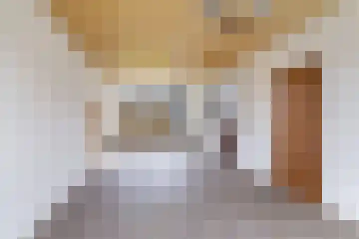 Jan Steenlaan 10 Woudenberg thumbnail 11