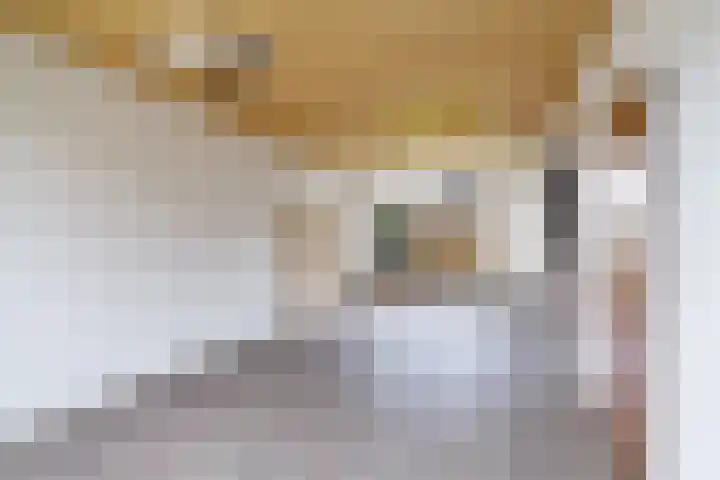 Jan Steenlaan 10 Woudenberg thumbnail 12