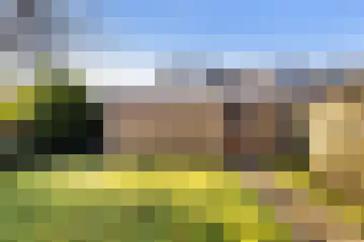 Jan Steenlaan 10 Woudenberg thumbnail 25