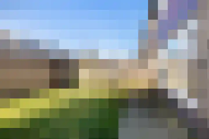 Jan Steenlaan 10 Woudenberg thumbnail 26