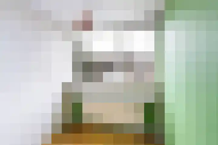 Jan Steenlaan 10 Woudenberg thumbnail 28