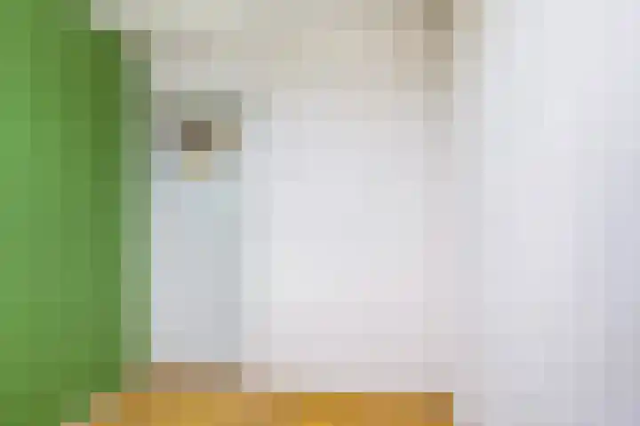 Jan Steenlaan 10 Woudenberg thumbnail 29