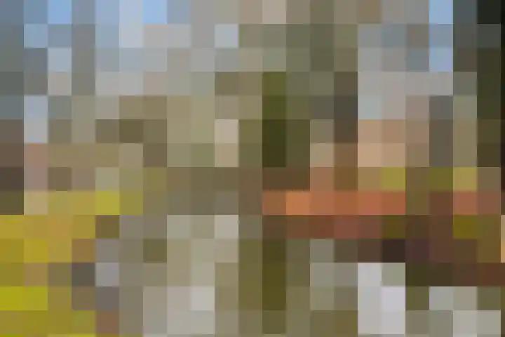 Jan Steenlaan 10 Woudenberg thumbnail 40