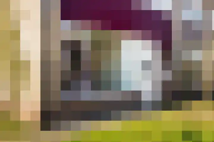 Jan Steenlaan 10 Woudenberg thumbnail 7