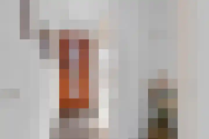 Jan Steenlaan 11 Stolwijk thumbnail 20