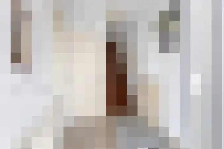Jan Steenlaan 11 Stolwijk thumbnail 21