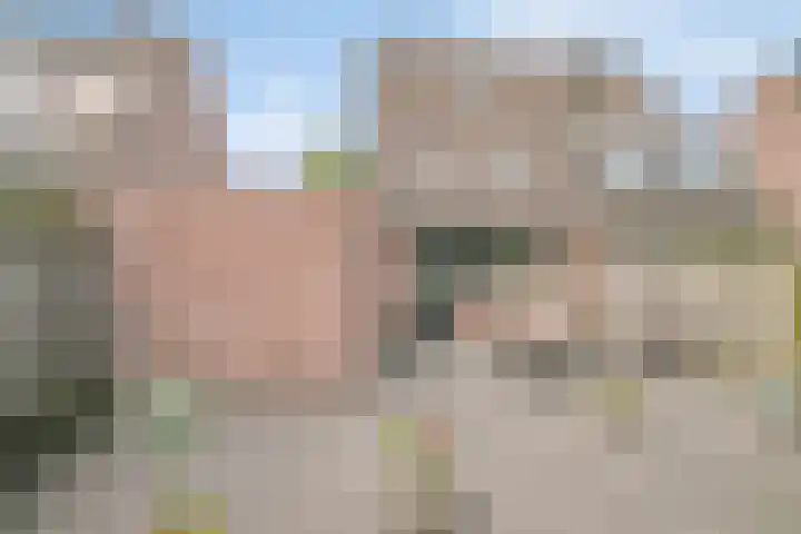 Jan Steenlaan 111 Ede thumbnail 28