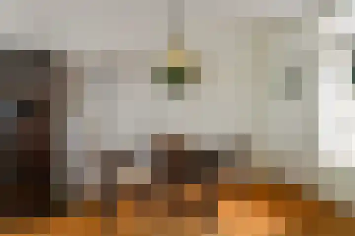 Jan Steenlaan 111 Ede thumbnail 7