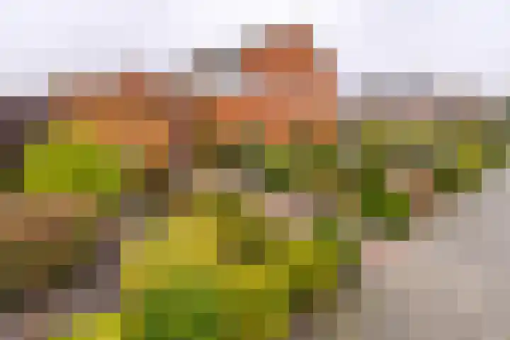 Jan Steenlaan 12 Musselkanaal thumbnail 25
