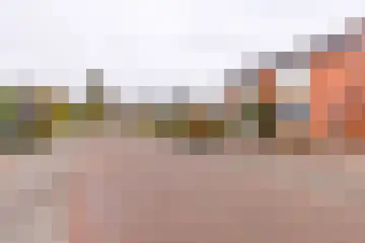 Jan Steenlaan 12 Musselkanaal thumbnail 26