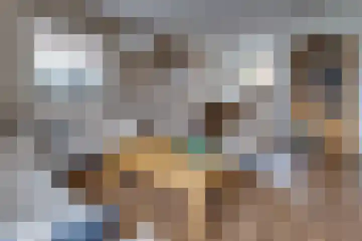 Jan Steenlaan 12 Musselkanaal thumbnail 4