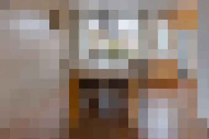 Jan Steenlaan 12 Musselkanaal thumbnail 5