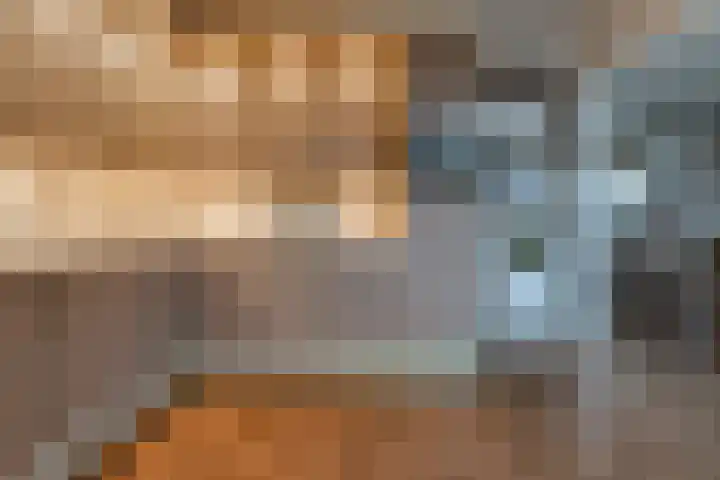 Jan Steenlaan 12 Musselkanaal thumbnail 7