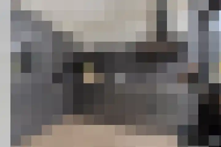 Jan Steenlaan 13 Papendrecht thumbnail 10