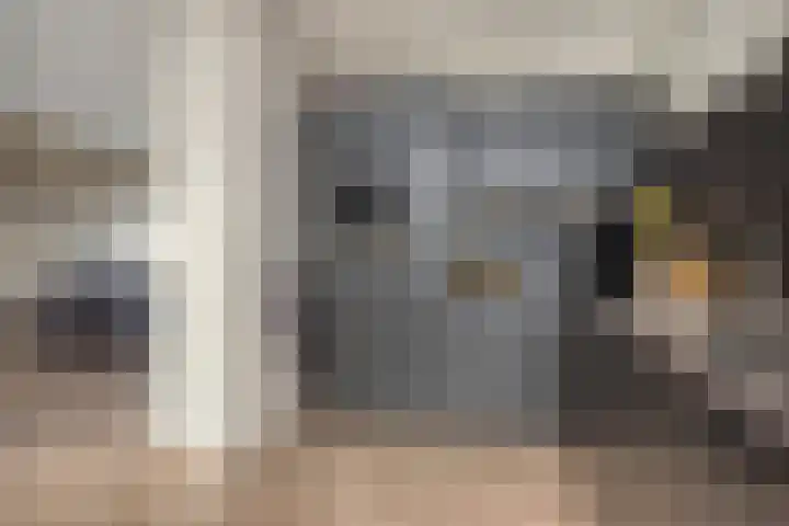 Jan Steenlaan 13 Papendrecht thumbnail 11