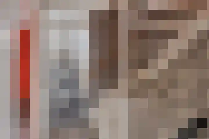 Jan Steenlaan 13 Papendrecht thumbnail 12