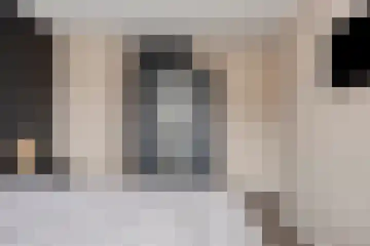 Jan Steenlaan 13 Papendrecht thumbnail 14