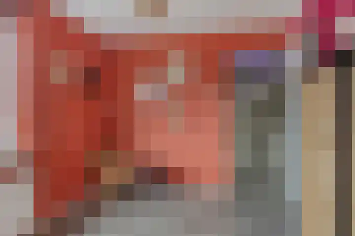 Jan Steenlaan 13 Papendrecht thumbnail 19