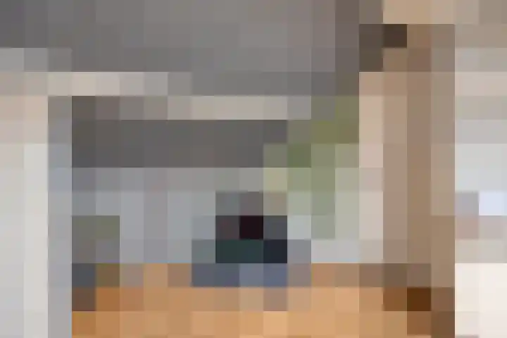 Jan Steenlaan 13 Papendrecht thumbnail 24