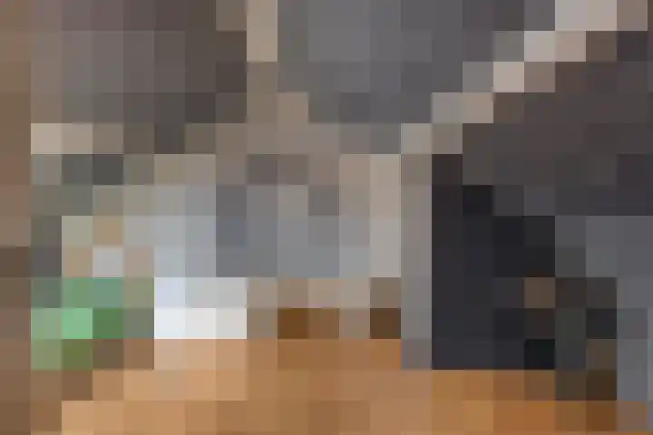 Jan Steenlaan 13 Papendrecht thumbnail 25