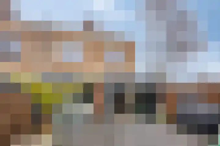 Jan Steenlaan 13 Papendrecht thumbnail 26