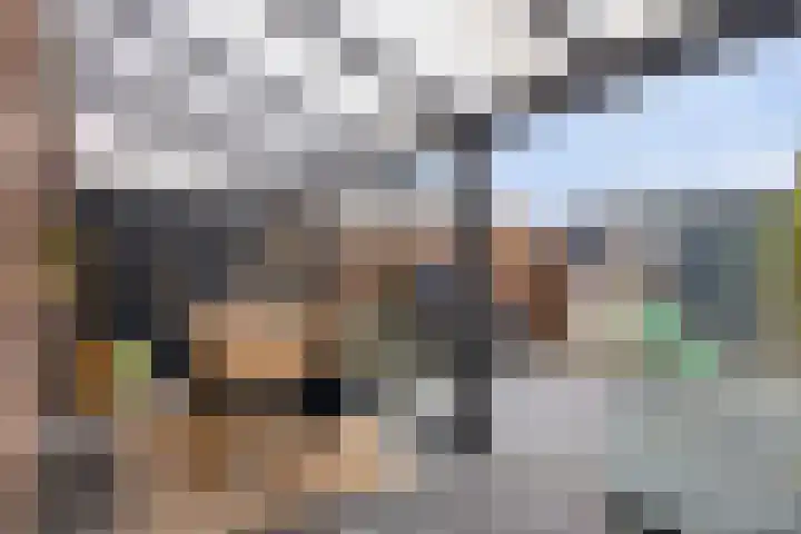 Jan Steenlaan 13 Papendrecht thumbnail 28