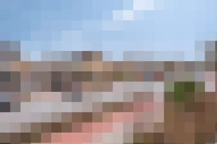 Jan Steenlaan 13 Papendrecht thumbnail 35