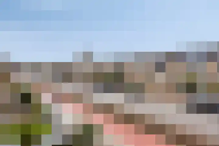 Jan Steenlaan 13 Papendrecht thumbnail 36