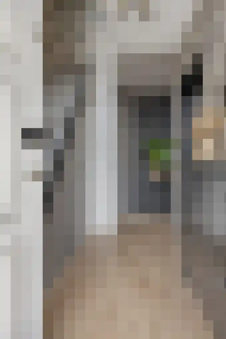 Jan Steenlaan 13 Papendrecht thumbnail 4