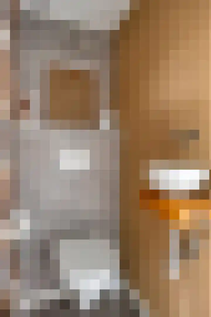 Jan Steenlaan 13 Papendrecht thumbnail 5