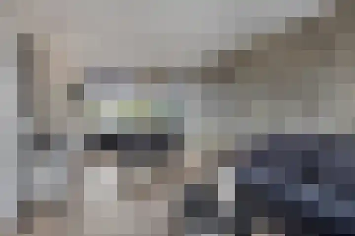 Jan Steenlaan 13 Papendrecht thumbnail 6