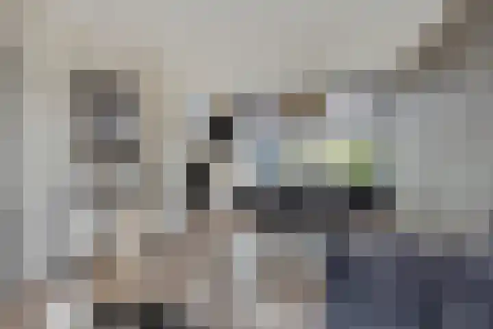 Jan Steenlaan 13 Papendrecht thumbnail 7